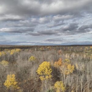 2.00 acres in Radisson, WI (Sawyer County) - APN 004-738-07-4404 (photo 16)